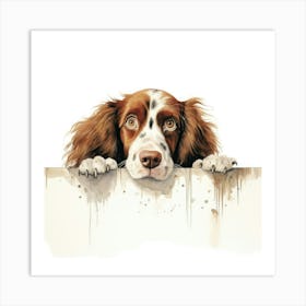 Spaniel Welsh Springer 3 Art Print