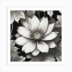 Black And White Flower 1 Art Print