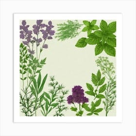 Frame Of Herbs 27 Art Print