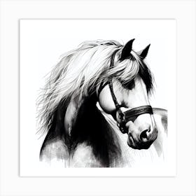Horse Head Drawing 3 Art Print
