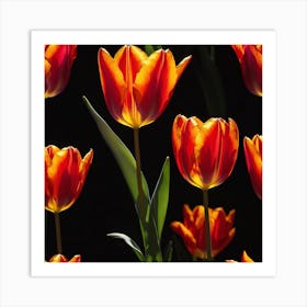 Tulips Art Print