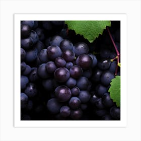 Black Grapes 7 Art Print