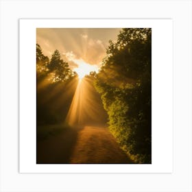 Sunrise Over The Woods Art Print