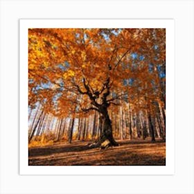 Autumn Tree In The Forest Art Print