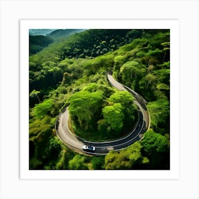 Treetop Car Scenic Tour Tourism Country Rural Green Zigzag Drive Road Background Topview (10) Art Print