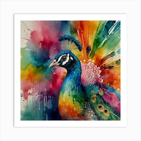 Colorful Peacock Art Print