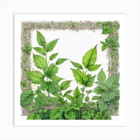 Mint Leaves In A Frame Art Print