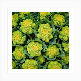 Florets Of Cauliflower 1 Art Print