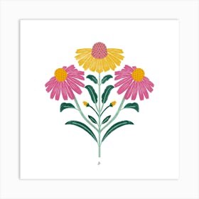 Echinacea Art Print