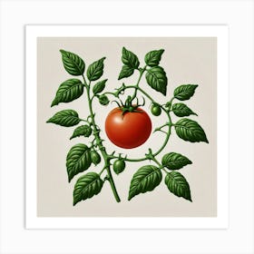 Tomato On A Vine Art Print