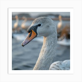 Swans Art Print