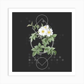 Vintage White Rosebush Botanical with Geometric Line Motif and Dot Pattern n.0163 Art Print