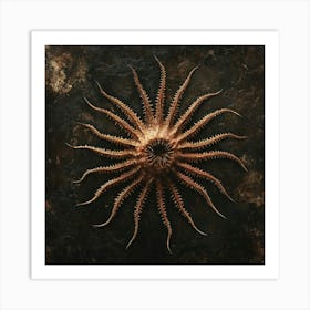 Starfish 3 Art Print