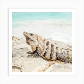 Tulum Iguana Square Art Print