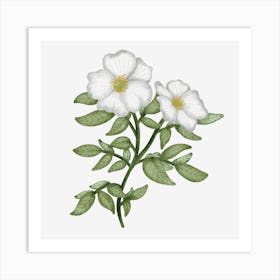 State flower of Georgia Art Print