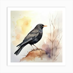 Blackbird Watercolour Art Print