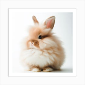 Cute Fluffy Bunny Art Print
