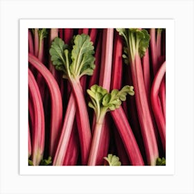 Rhubarb 37 Art Print