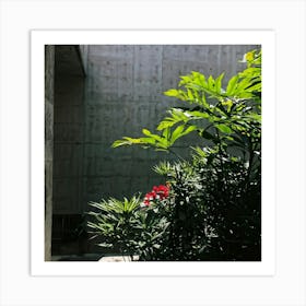 Nature Petiole Art Sunshine Black Up High Overlay Concrete Shadowy Floral Light Natural (11) Art Print