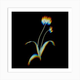 Prism Shift Spring Garlic Botanical Illustration on Black n.0439 Art Print