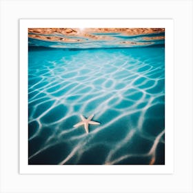 Star Fish Art Print