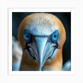 Gannet 2 Art Print