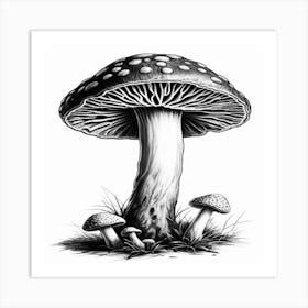 Mushroom Print Art Print