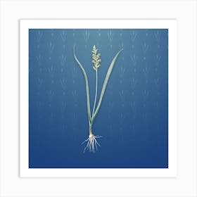 Vintage Lachenalia Pallida Botanical on Bahama Blue Pattern n.0419 Art Print