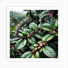 Coffee Plantation Art Print
