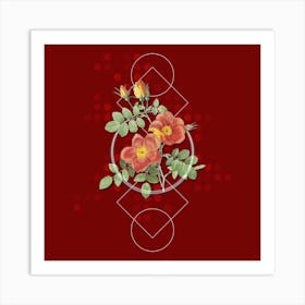 Vintage Austrian Briar Rose Botanical with Geometric Line Motif and Dot Pattern n.0088 Art Print