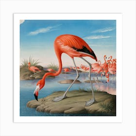 American Flamingo 4 Art Print