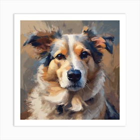 Australian Shepherd Art Print