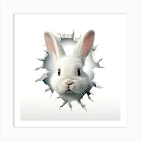 Rabbit Through A Hole 6 Art Print