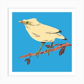 Bird Animal Branch Wildlife Art Print