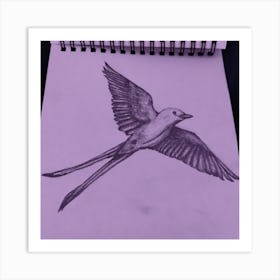 Scissortail In Flight Art Print