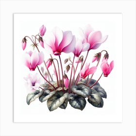 Flowers of Cyclamen Art Print