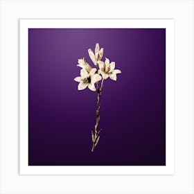 Gold Botanical Madonna Lily on Royal Purple n.2145 Art Print
