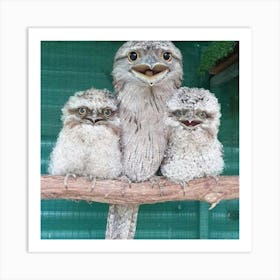 Cute Emu Family Art Print