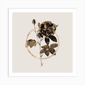 Gold Ring French Rose Glitter Botanical Illustration n.0060 Art Print