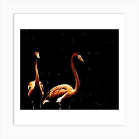 Flamingos Art Print