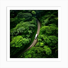 Aerial View Of A Road In The Rainforest Art Print