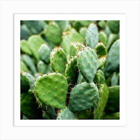 Cactus 1 Art Print