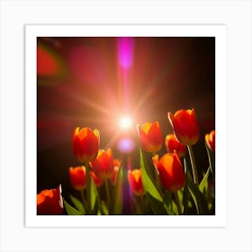 Tulips In The Sun 1 Art Print