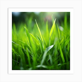 Grass Plant Texture Green Detail Nature Fresh Beautiful Summer Natural Spring Ecology Be (1) Art Print