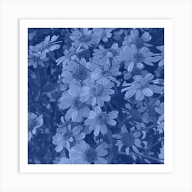 Blue Daisy Art Print