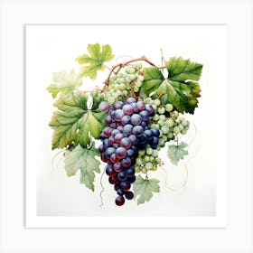 Vineyard Reverie Art Print