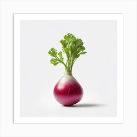 Radish Art Print