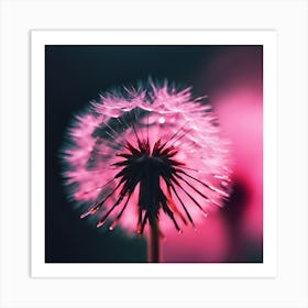 Vivid Pink Light through Dandelion Seeds Art Print