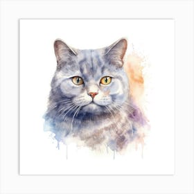 Russian Shorthair Cat Portrait 2 Art Print