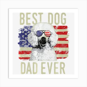 Limited Edition Mens Mens American Flag Best Poodles Dad Ever Art Print